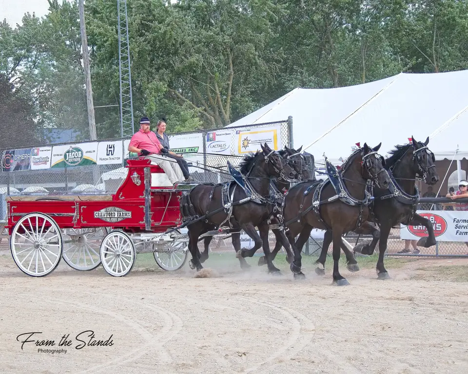 Picture of Ontario Four Horse Hitch Series member, Greenwood Farm