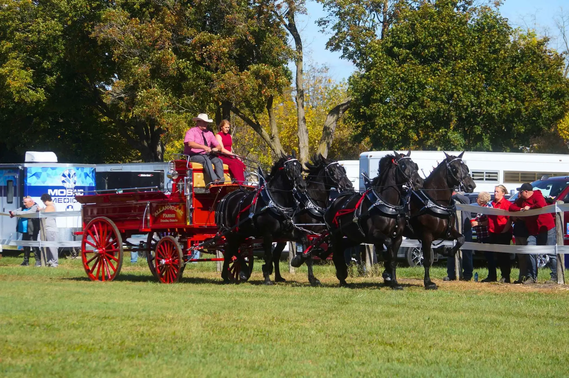 Allanholme Farms at the Ontario Four Finals at the Norfolk County Fair and Horse Show