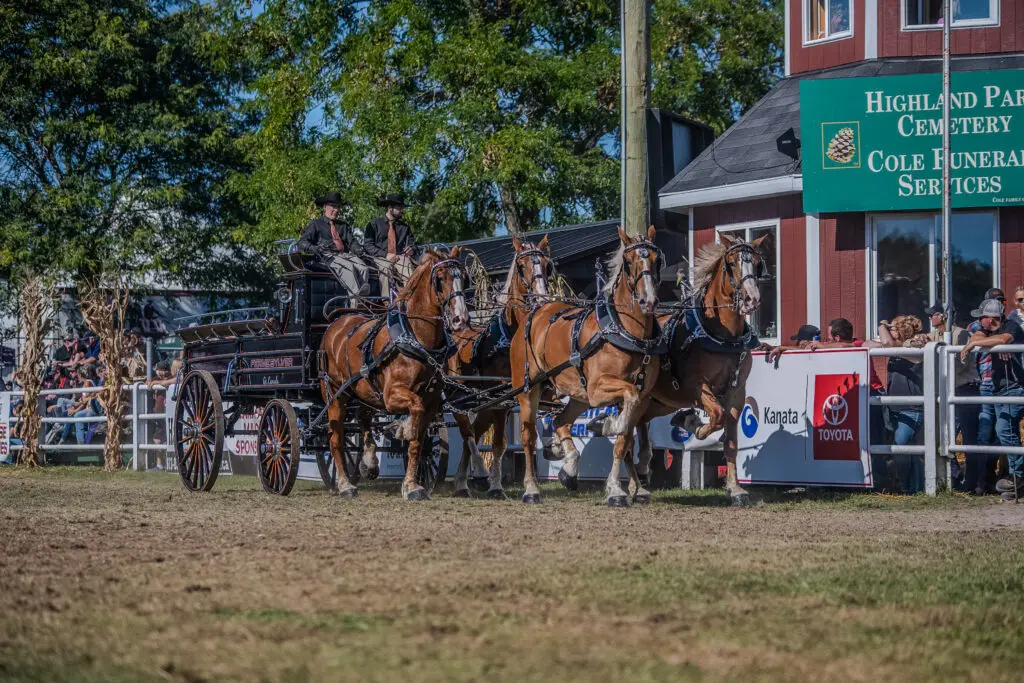 Ferme Sylver driving in an Ontario Four qualifying class at the Carp Fair