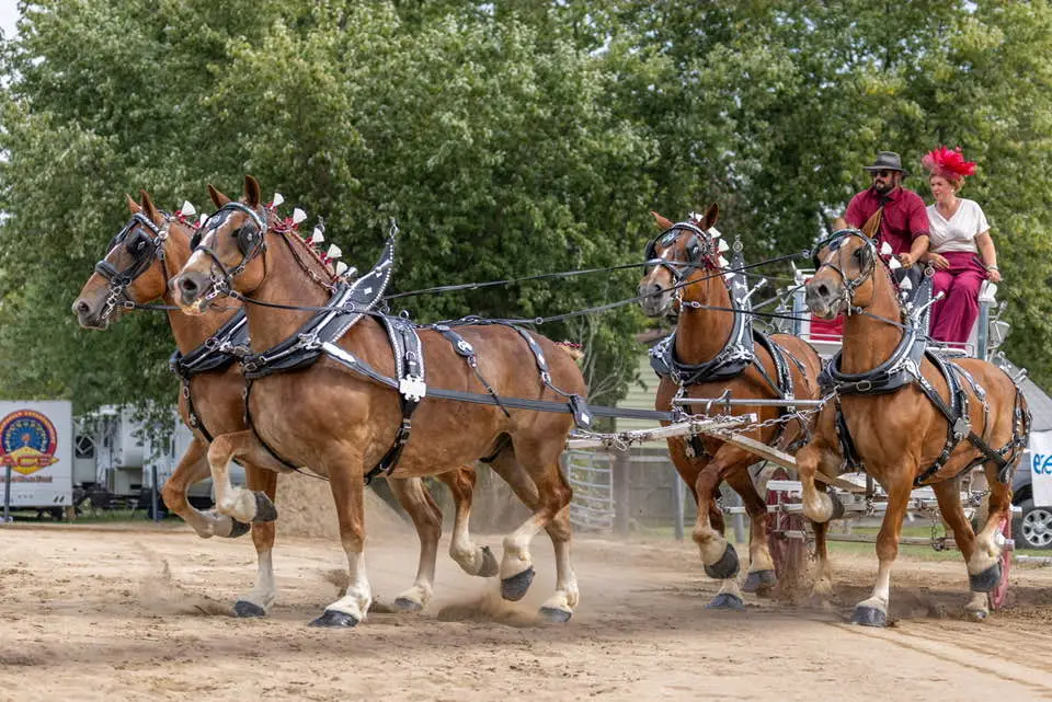 Rising Creek competing in a qualifying Ontario Four class