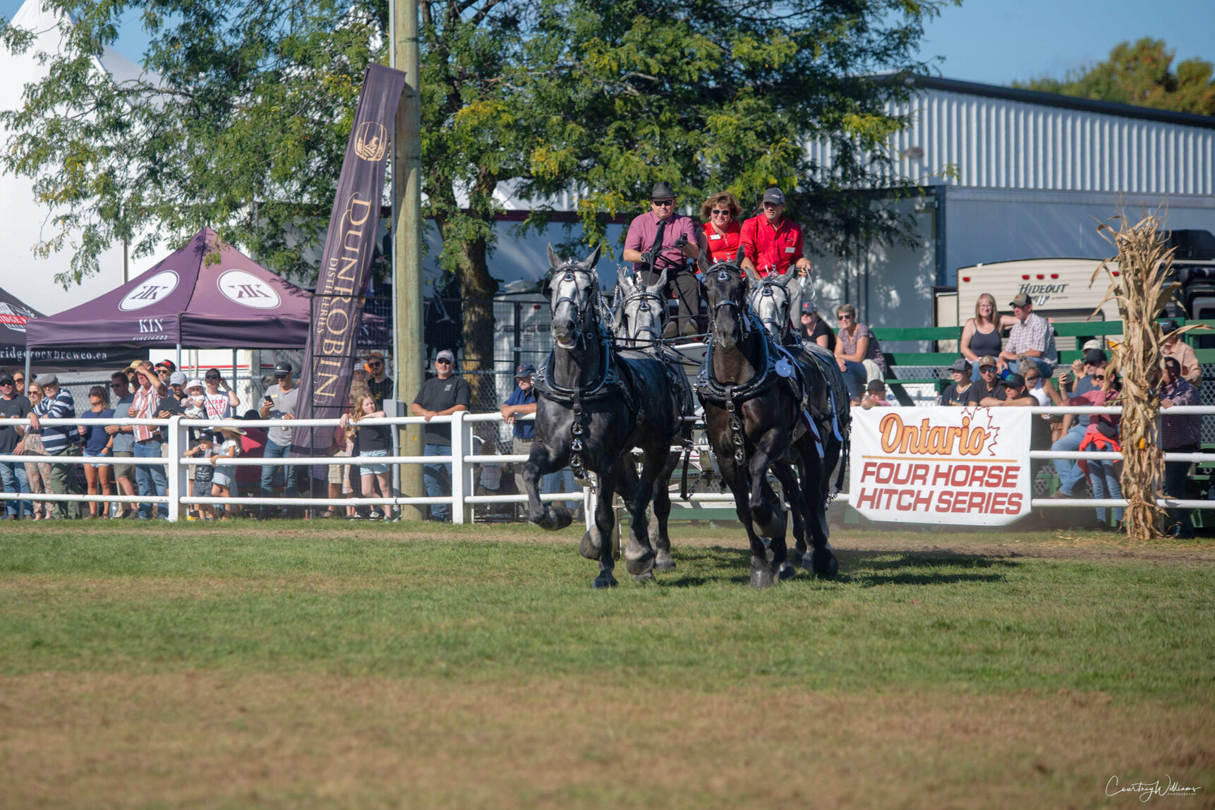 Grier Family Percherons at the Carp Fair