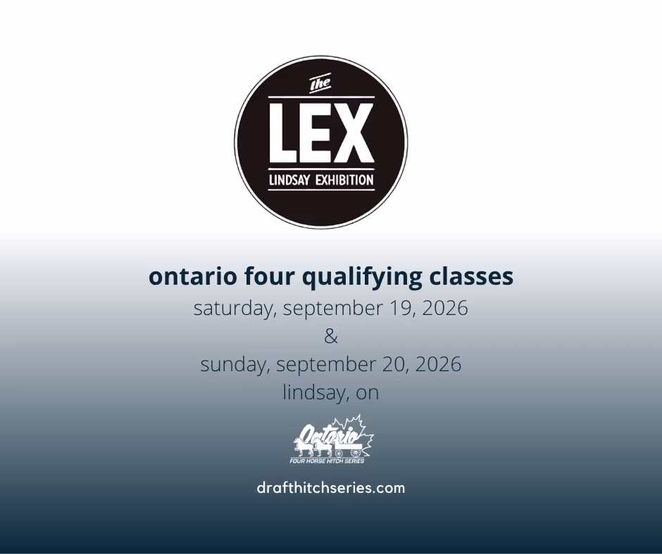 Ontario Four qualifying classes at the Lindsay Ex's Horse Power Weekend