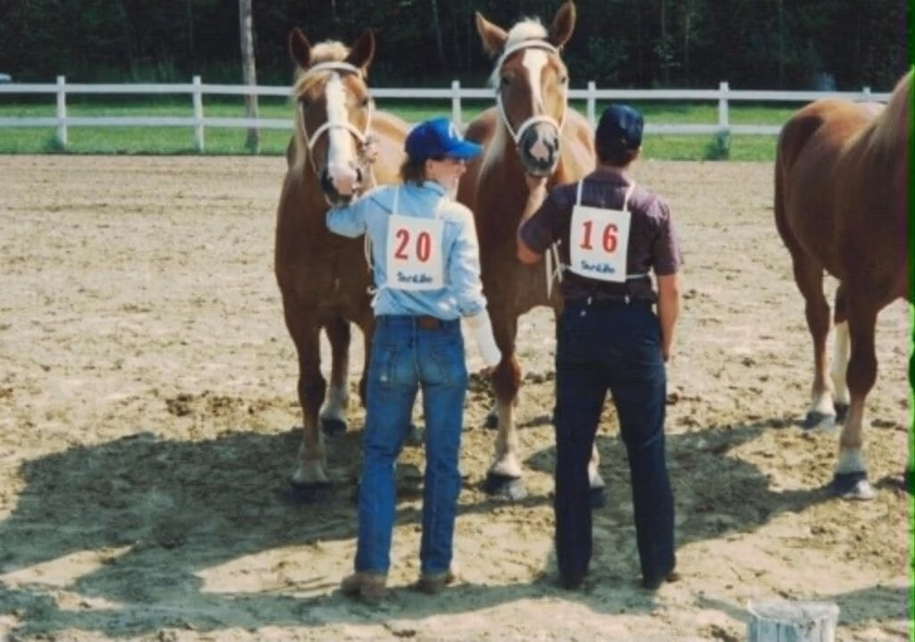 McWilliams brothers showing in the ring